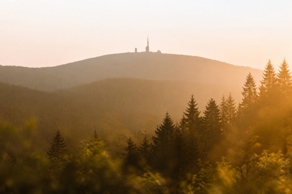 Blick auf den bewaldeten Hügel mit dem Fernsehturm im Sonnenuntergang, umgeben von Nebel und Nachtschattengewächsen.