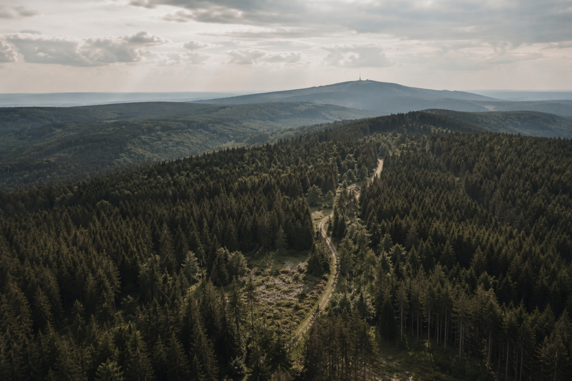Luftaufnahme eines Waldgebiets mit grünen Bäumen und einem abfallenden Hang, im Hintergrund ein Hügel mit Antenne.