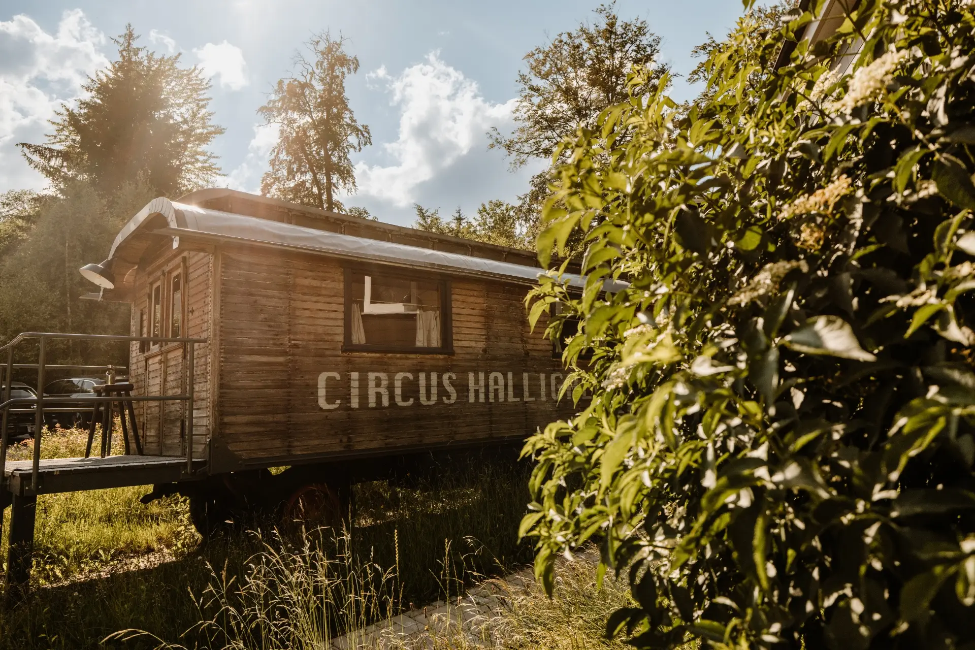 Holzhüttenwagen mit der Aufschrift CIRCUS HALLIG im Grünen, umgeben von Pflanzen und Bäumen unter blauem Himmel.