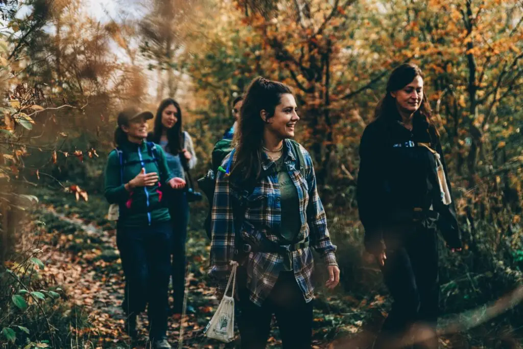 Fünf Frauen wandern auf einem Waldweg in der Herbstlandschaft, umgeben von buntem Laub und sanftem Licht.